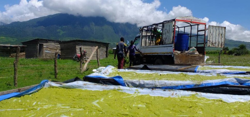 The Avomeru team developing a locally-viable method of avocado oil production in Tanzania. Photo courtesy of Avomeru.