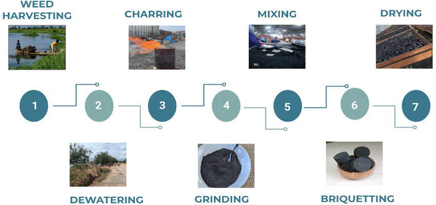 Waterweed briquette production process. Image: Courtesy MIT D-Lab