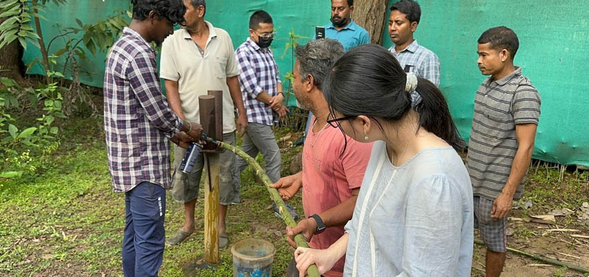 A group of people outside bending a long piece of bamboo.