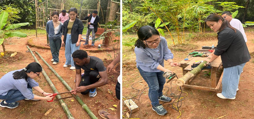 Left: Cutting the bamboo culms. Right: Creating the fish mouth joints.