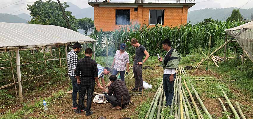 The team applying tar to the bamboo posts on the greenhouse site.